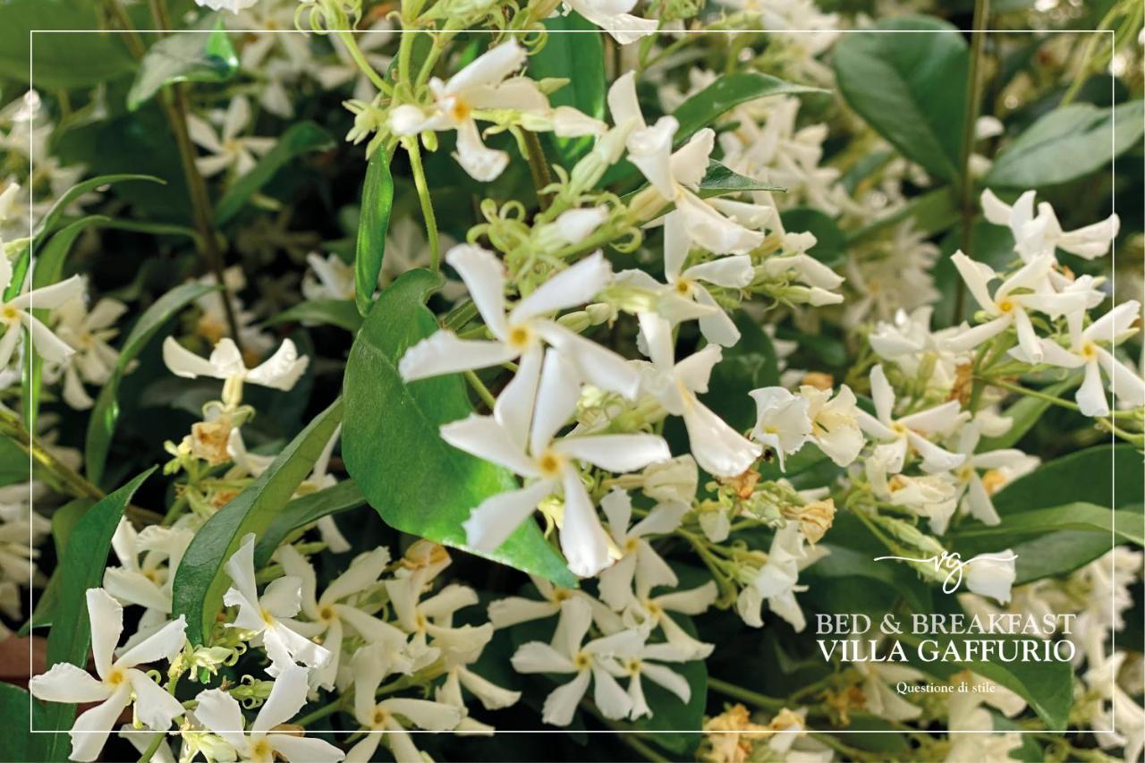 Villa Gaffurio 베르가모 외부 사진